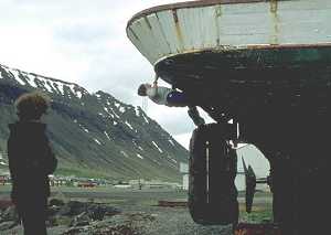 The Boat